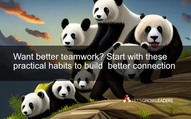 Better Teamwork: 12 Practical Team Habits to Build Deeper Connection